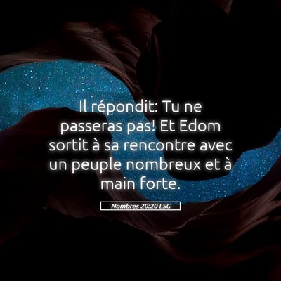 Picture 05 - Nombres 20:20 LSG - Il répondit: Tu ne passeras pas! Et Edom sortit - Bible Verse Picture