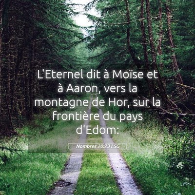 Picture 05 - Nombres 20:23 LSG - L'Eternel dit à Moïse et à Aaron, vers la - Bible Verse Picture