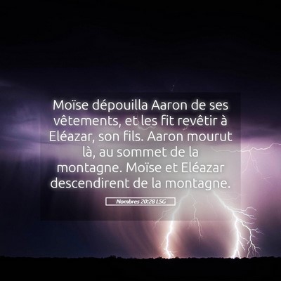 Picture 05 - Nombres 20:28 LSG - Moïse dépouilla Aaron de ses vêtements, et les - Bible Verse Picture
