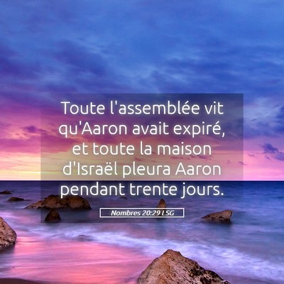 Picture 05 - Nombres 20:29 LSG - Toute l'assemblée vit qu'Aaron avait expiré, et - Bible Verse Picture