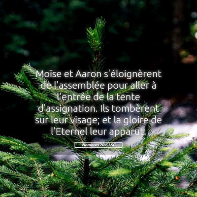 Picture 05 - Nombres 20:6 LSG - Moïse et Aaron s'éloignèrent de l'assemblée - Bible Verse Picture