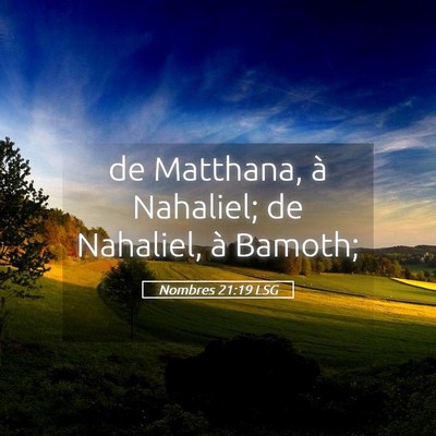 Picture 05 - Nombres 21:19 LSG - de Matthana, à Nahaliel; de Nahaliel, à - Bible Verse Picture