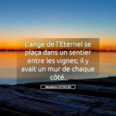 Picture 05 - Nombres 22:24 LSG - L'ange de l'Eternel se plaça dans un sentier - Bible Verse Picture