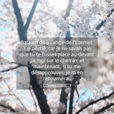 Picture 05 - Nombres 22:34 LSG - Balaam dit à l'ange de l'Eternel: J'ai péché, - Bible Verse Picture
