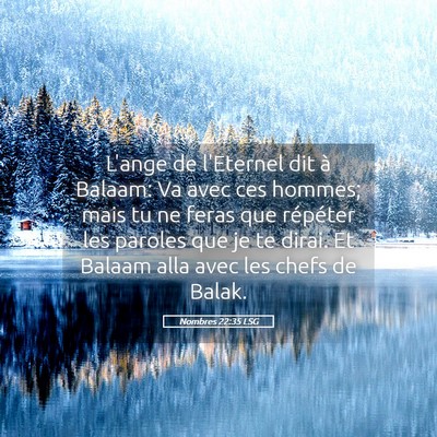 Picture 05 - Nombres 22:35 LSG - L'ange de l'Eternel dit à Balaam: Va avec ces - Bible Verse Picture