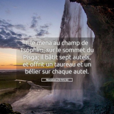 Picture 05 - Nombres 23:14 LSG - Il le mena au champ de Tsophim, sur le sommet du - Bible Verse Picture