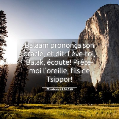 Picture 05 - Nombres 23:18 LSG - Balaam prononça son oracle, et dit: Lève-toi, - Bible Verse Picture
