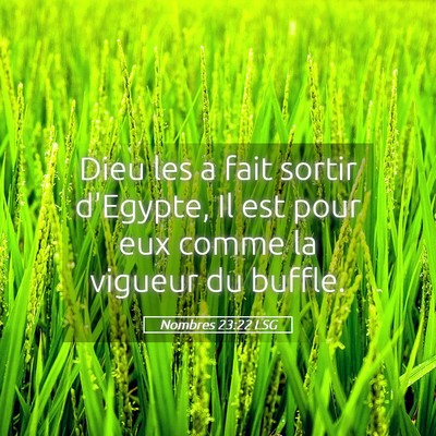 Picture 05 - Nombres 23:22 LSG - Dieu les a fait sortir d'Egypte, Il est pour eux - Bible Verse Picture