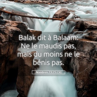 Picture 05 - Nombres 23:25 LSG - Balak dit à Balaam: Ne le maudis pas, mais du - Bible Verse Picture