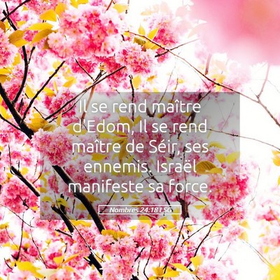 Picture 05 - Nombres 24:18 LSG - Il se rend maître d'Edom, Il se rend maître de - Bible Verse Picture