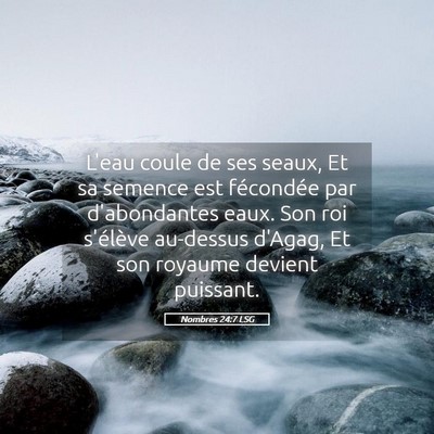 Picture 05 - Nombres 24:7 LSG - L'eau coule de ses seaux, Et sa semence est - Bible Verse Picture