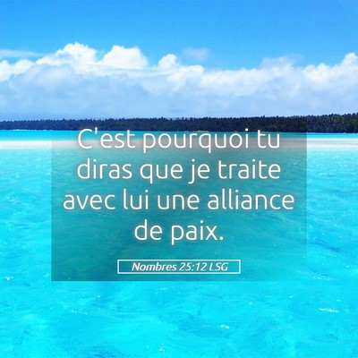 Picture 05 - Nombres 25:12 LSG - C'est pourquoi tu diras que je traite avec lui - Bible Verse Picture