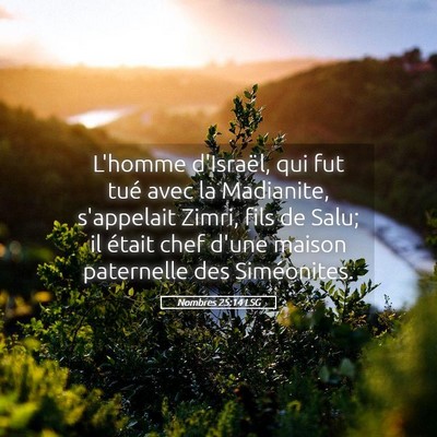 Picture 05 - Nombres 25:14 LSG - L'homme d'Israël, qui fut tué avec la - Bible Verse Picture