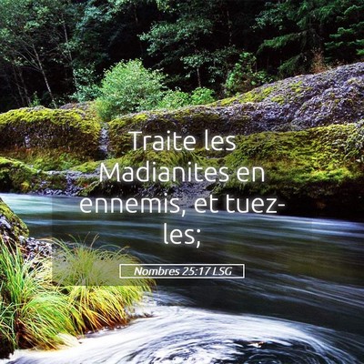 Picture 05 - Nombres 25:17 LSG - Traite les Madianites en ennemis, et - Bible Verse Picture