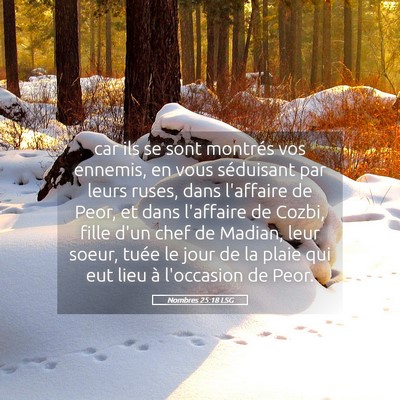 Picture 05 - Nombres 25:18 LSG - car ils se sont montrés vos ennemis, en vous - Bible Verse Picture