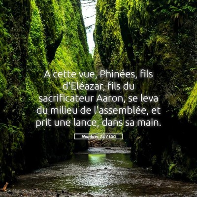 Picture 05 - Nombres 25:7 LSG - A cette vue, Phinées, fils d'Eléazar, fils du - Bible Verse Picture