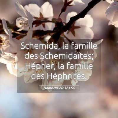Picture 05 - Nombres 26:32 LSG - Schemida, la famille des Schemidaïtes; Hépher, - Bible Verse Picture