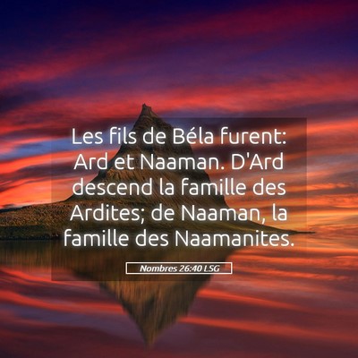 Picture 05 - Nombres 26:40 LSG - Les fils de Béla furent: Ard et Naaman. D'Ard - Bible Verse Picture