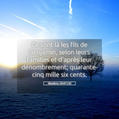 Picture 05 - Nombres 26:41 LSG - Ce sont là les fils de Benjamin, selon leurs - Bible Verse Picture