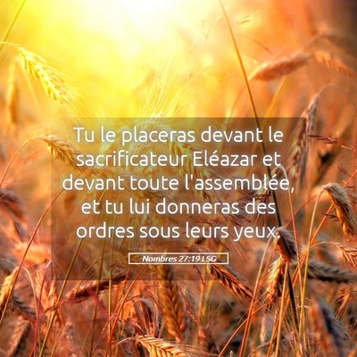 Picture 05 - Nombres 27:19 LSG - Tu le placeras devant le sacrificateur Eléazar - Bible Verse Picture