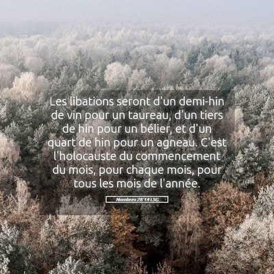 Picture 05 - Nombres 28:14 LSG - Les libations seront d'un demi-hin de vin pour un - Bible Verse Picture
