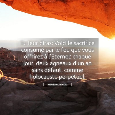 Picture 05 - Nombres 28:3 LSG - Tu leur diras: Voici le sacrifice consumé par le - Bible Verse Picture