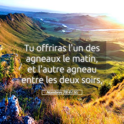 Picture 05 - Nombres 28:4 LSG - Tu offriras l'un des agneaux le matin, et l'autre - Bible Verse Picture