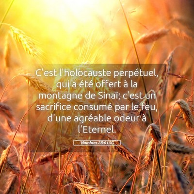 Picture 05 - Nombres 28:6 LSG - C'est l'holocauste perpétuel, qui a été offert - Bible Verse Picture