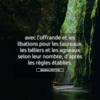 Picture 05 - Nombres 29:27 LSG - avec l'offrande et les libations pour les - Bible Verse Picture
