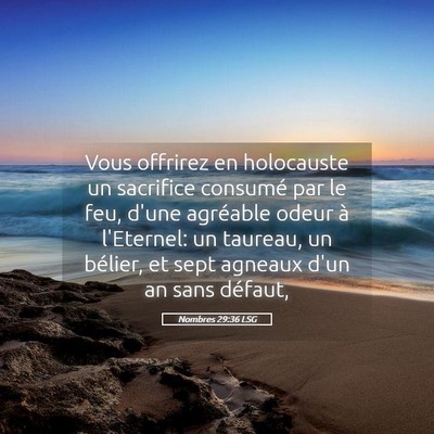 Picture 05 - Nombres 29:36 LSG - Vous offrirez en holocauste un sacrifice consumé - Bible Verse Picture