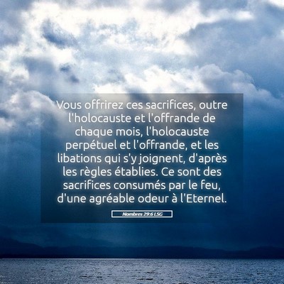 Picture 05 - Nombres 29:6 LSG - Vous offrirez ces sacrifices, outre l'holocauste - Bible Verse Picture