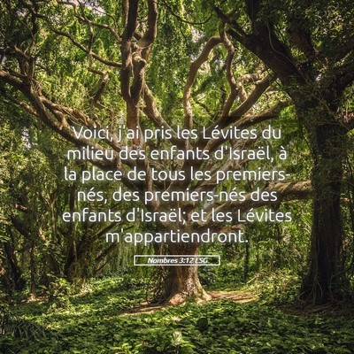 Picture 05 - Nombres 3:12 LSG - Voici, j'ai pris les Lévites du milieu des - Bible Verse Picture