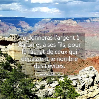 Picture 05 - Nombres 3:48 LSG - Tu donneras l'argent à Aaron et à ses fils, - Bible Verse Picture