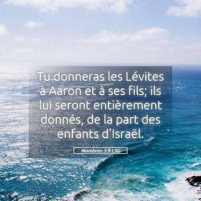 Picture 05 - Nombres 3:9 LSG - Tu donneras les Lévites à Aaron et à ses fils; - Bible Verse Picture