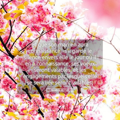 Picture 05 - Nombres 30:7 LSG - et que son mari en aura connaissance, -s'il garde - Bible Verse Picture