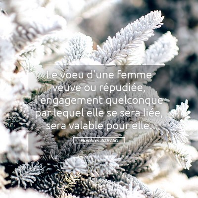 Picture 05 - Nombres 30:9 LSG - Le voeu d'une femme veuve ou répudiée, - Bible Verse Picture