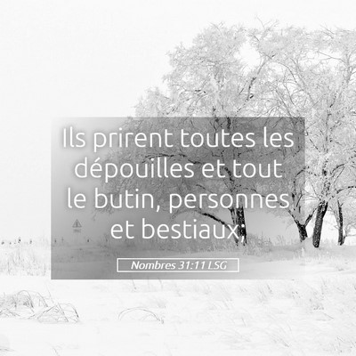 Picture 05 - Nombres 31:11 LSG - Ils prirent toutes les dépouilles et tout le - Bible Verse Picture