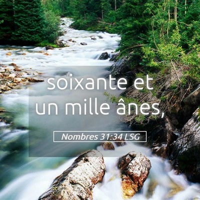 Picture 05 - Nombres 31:34 LSG - soixante et un mille - Bible Verse Picture
