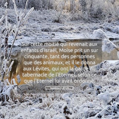 Picture 05 - Nombres 31:47 LSG - Sur cette moitié qui revenait aux enfants - Bible Verse Picture