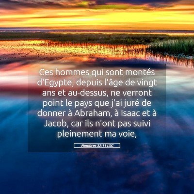 Picture 05 - Nombres 32:11 LSG - Ces hommes qui sont montés d'Egypte, depuis - Bible Verse Picture