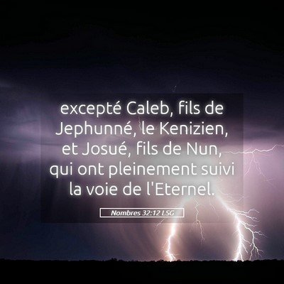 Picture 05 - Nombres 32:12 LSG - excepté Caleb, fils de Jephunné, le Kenizien, - Bible Verse Picture