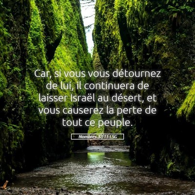 Picture 05 - Nombres 32:15 LSG - Car, si vous vous détournez de lui, il - Bible Verse Picture