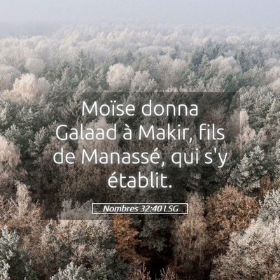 Picture 05 - Nombres 32:40 LSG - Moïse donna Galaad à Makir, fils de Manassé, - Bible Verse Picture
