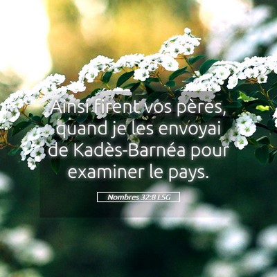 Picture 05 - Nombres 32:8 LSG - Ainsi firent vos pères, quand je les envoyai de - Bible Verse Picture