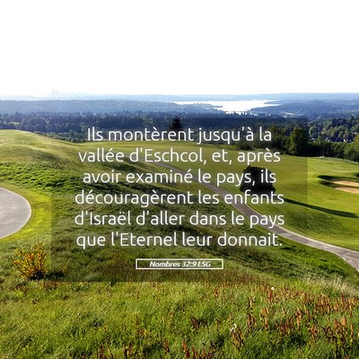 Picture 05 - Nombres 32:9 LSG - Ils montèrent jusqu'à la vallée d'Eschcol, et, - Bible Verse Picture