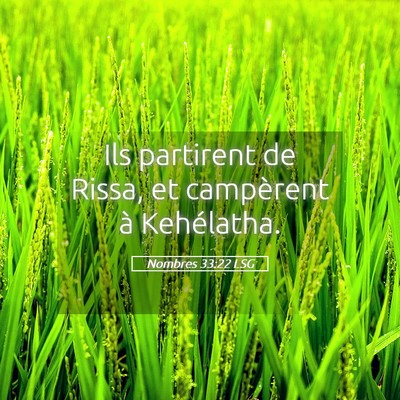 Picture 05 - Nombres 33:22 LSG - Ils partirent de Rissa, et campèrent à - Bible Verse Picture