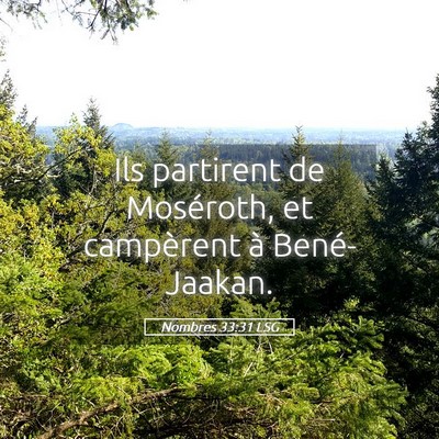Picture 05 - Nombres 33:31 LSG - Ils partirent de Moséroth, et campèrent à - Bible Verse Picture