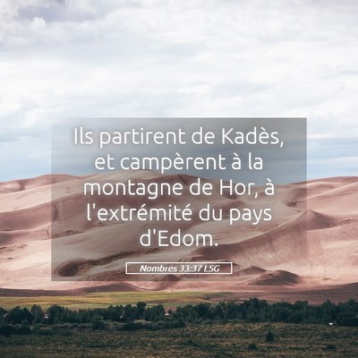 Picture 05 - Nombres 33:37 LSG - Ils partirent de Kadès, et campèrent à la - Bible Verse Picture