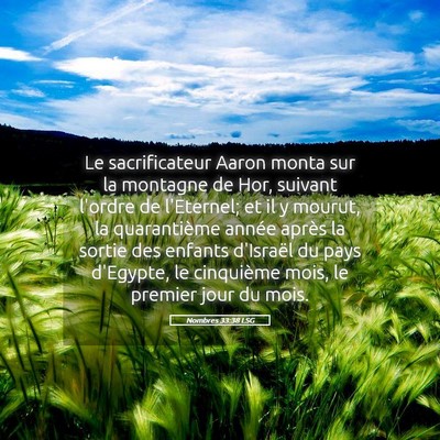 Picture 05 - Nombres 33:38 LSG - Le sacrificateur Aaron monta sur la montagne de - Bible Verse Picture