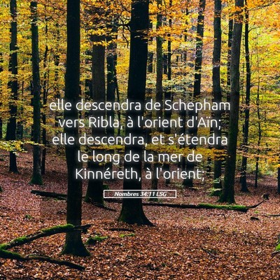 Picture 05 - Nombres 34:11 LSG - elle descendra de Schepham vers Ribla, à - Bible Verse Picture